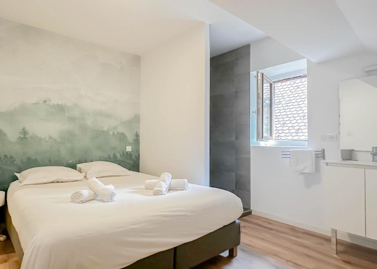 Apartmán Rainbow, Rue Carnot Annecy Exteriér fotografie